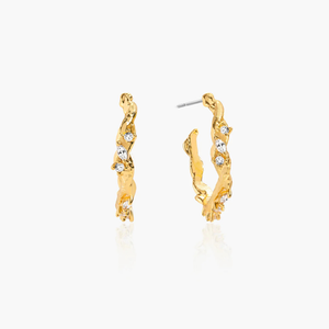 Crystal Earrings